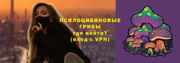 прущий лед Богородск